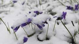 SR Veľká noc sviatky Košice počasie zima sneh východ