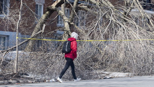 Po ľadovej búrke v Kanade zostali dve obete a milión ľudí bez prúdu