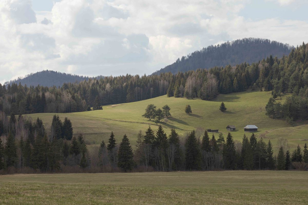 Raniak veľký sa zabýval na Muránskej planine.