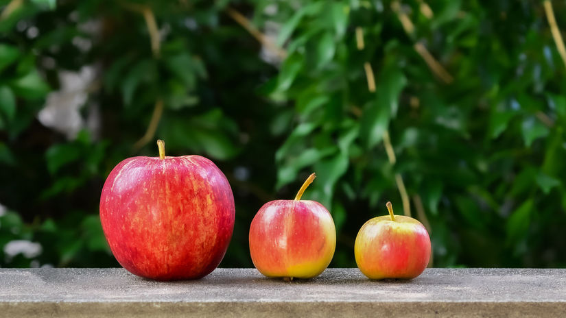 Wolicie większe czy raczej mniejsze jabłka?