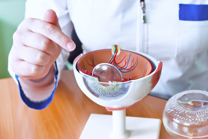 sivy zakal, nepouzivat