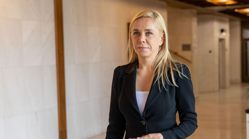 Denisa Saková, Hlas, parlament