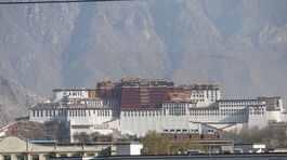 IMG 8543 1