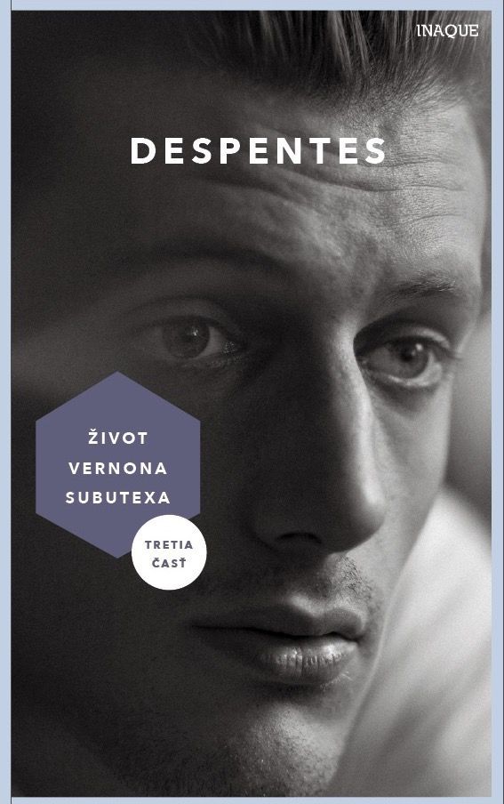 Virginie Despentes : La Vie de Vernon Subutex 3