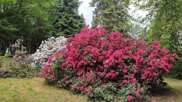 kvitnúce arborétum, Zvolen