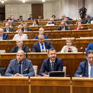 parlament, rokovanie, hlasovanie,