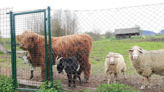 Záchranná stanica a Ekocentrum v Zázrivej. 