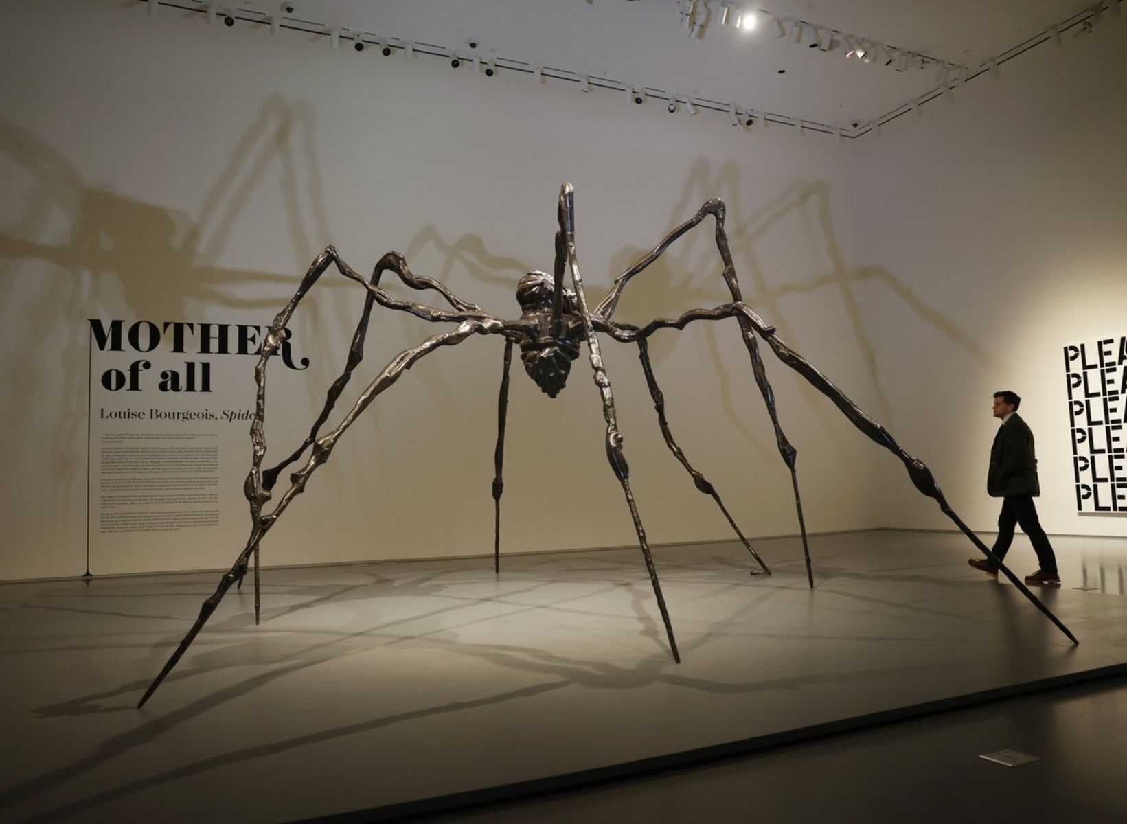 Pavúk, Louise Bourgeoisová