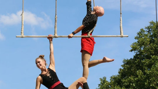 Wise Fool, Juhoafrická republika.