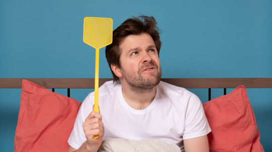 Mravce, muchy, komáre: Ako na dotieravý hmyz? Vyskúšajte to, čo máte v kuchyni