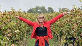 Durcova-vo-vinici