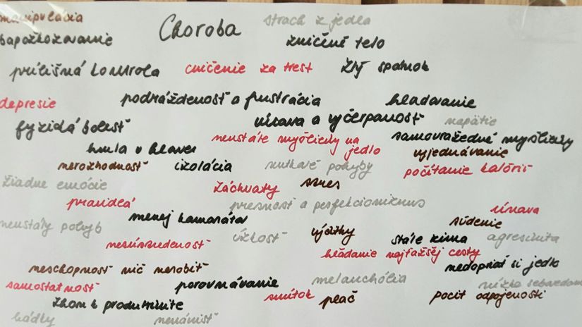 Kolektívna práca dievčat s mentálnou anorexiou.