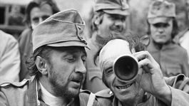 Lalie polne AFFkatalog