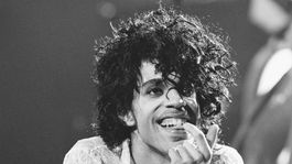 Prince spevák hudobník