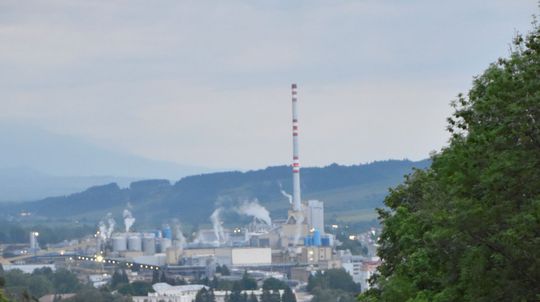 Pohyb najmenej štyroch medveďov zaevidoval v...