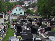 SR Ružomberok medvede cintorín plašenie ŠOP ZAX