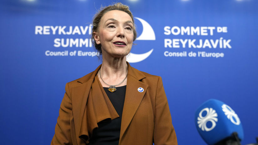 Marija Pejčinovičová Buričová, Rada Európy