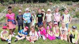 arborétum, Zvolen, ruže