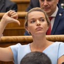 hlasovanie o dôvere vláde, Tabák,