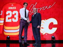 Honzek Bettman