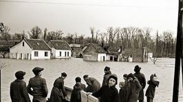 Stará Petržalka, záplavy, povodeň
