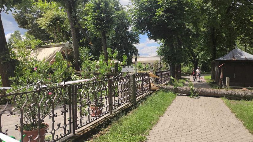 Strom v mestskom parku sa zrútil. Zlomený konár...