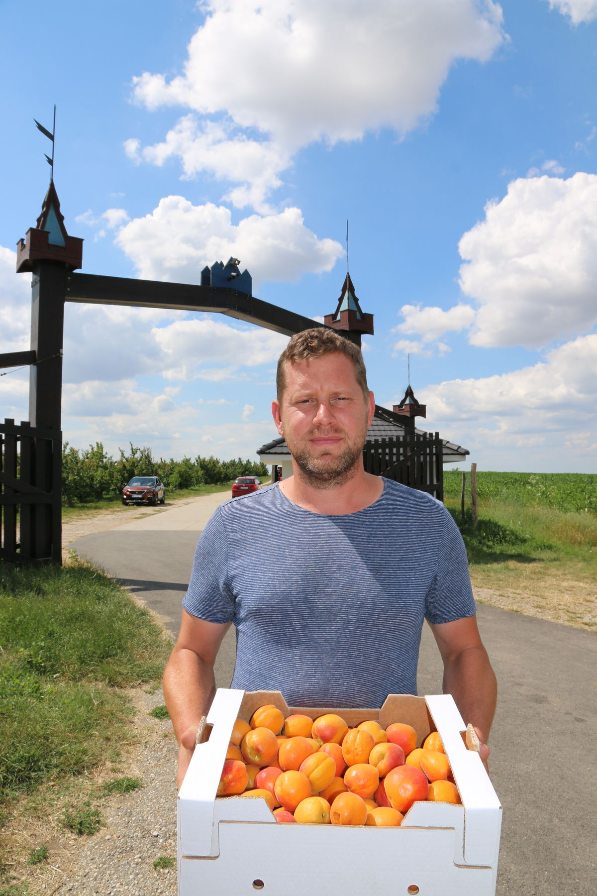 Brána do sadu Pannonia fruit, ktorý vybudovala...