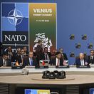 Litva NATO summit