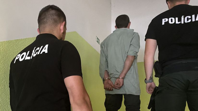 Zatknutie / Polícia /