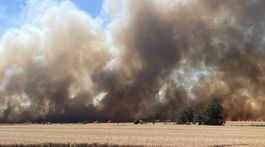Pri Bratislave v mestskej časti Vrakuňa pri...