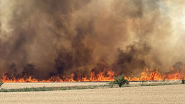 Pri Bratislave v mestskej časti Vrakuňa pri...