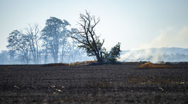 Spálené polia po požiari poľa v blízkosti...