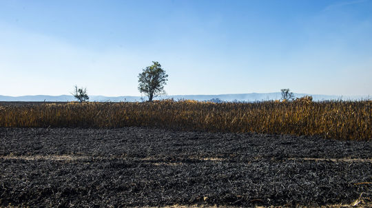 Spálené polia po požiari poľa v blízkosti...