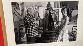 Brigitte Bardot, Pablo Picasso