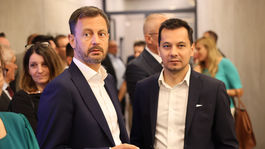heger, šeliga