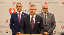 pellegrini, hlas, raši