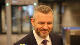pellegrini