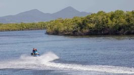 honduras, cedeno, mangrovy