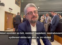 Gruzínsky novinár Nika Gvarmia.