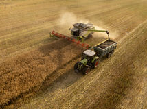 Žatva na šenkvických lánoch