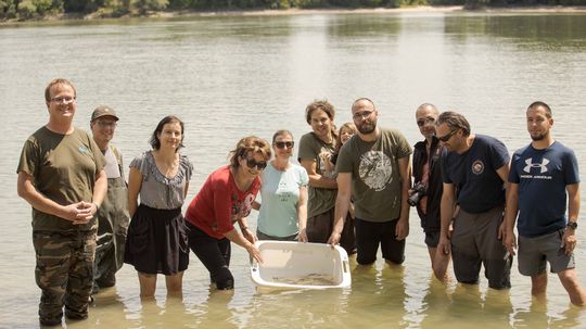 Vedci, vodohospodári a ochranári, ktorí sa...