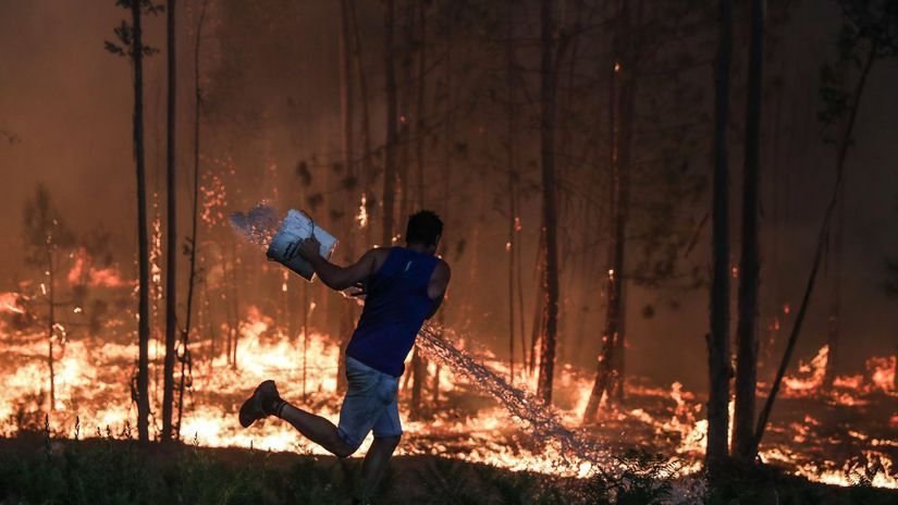 Portugalsko, lesné požiare, oheň