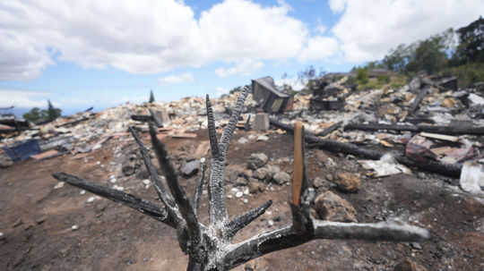 Havaj ako smutné spálenisko: Pozrite si fotografie, ktoré odhaľujú, čo požiar napáchal