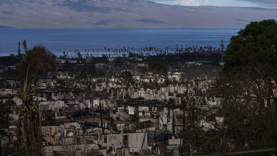 Požiar na Havaji má už 110 obetí, prehľadali len 38 % spáleniska. Horí aj na Tenerife