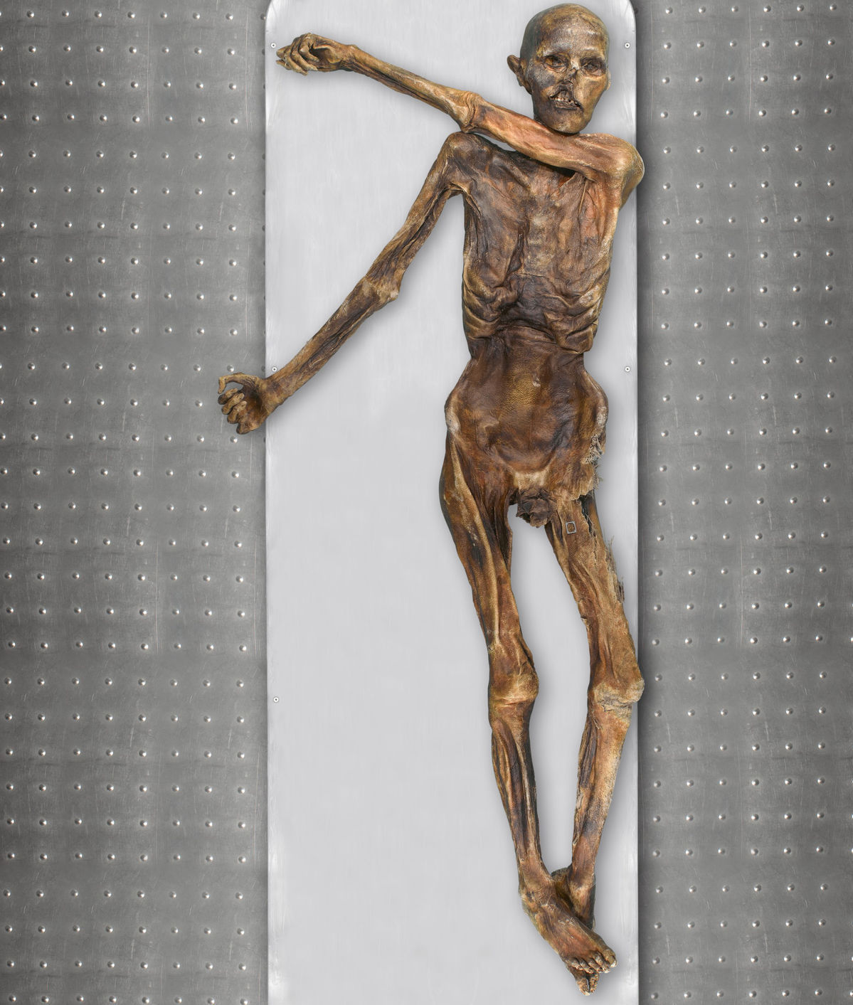 Ľadový muž Ötzi, ktorého múmia bola náhodou...