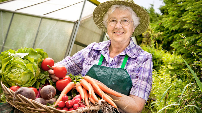 staršia žena, úroda, zelenina