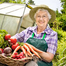staršia žena, úroda, zelenina