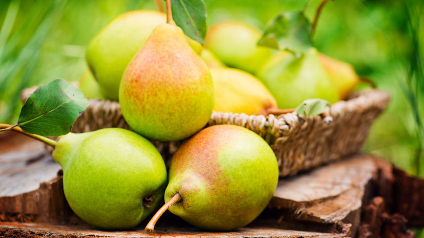 Z tradičných a stále obľúbených hrušiek...