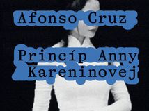 kniha princip anny kareninovej
