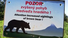 medvede, tabuľka, Repište